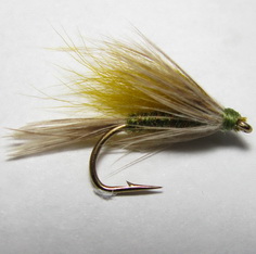 ���� ������ Wet fly 